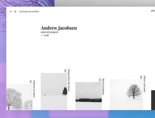 Full Image Reveal Effect